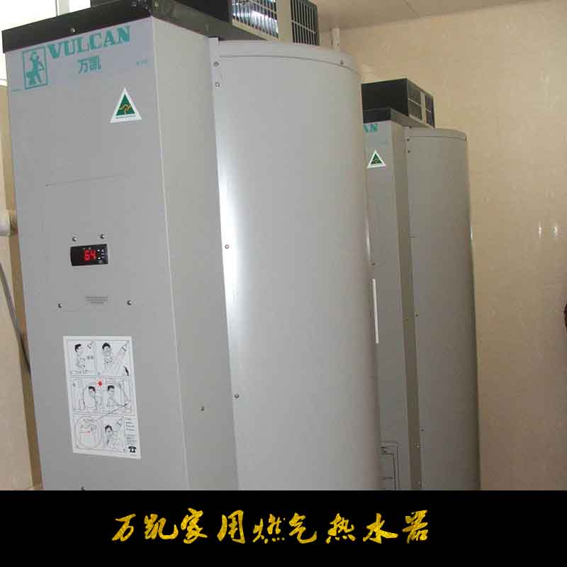 家用燃?xì)鉄崴鲌D片/家用燃?xì)鉄崴鳂影鍒D (3)
