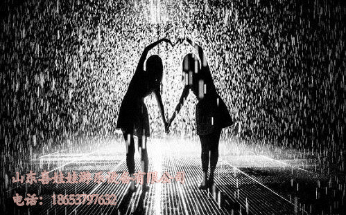 雨屋出租租賃雨屋體驗(yàn)雨屋報(bào)價(jià)圖片
