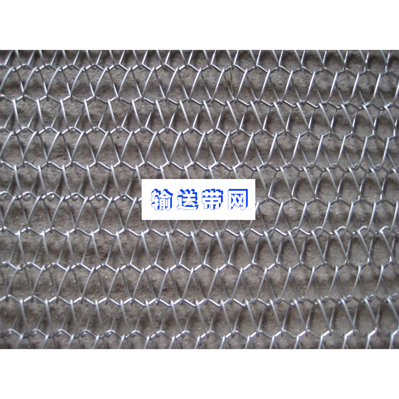 東艷機電設(shè)備供應(yīng)輸送帶網(wǎng)、不銹鋼輸送帶網(wǎng)|電鍍鋅輸送帶編制網(wǎng)