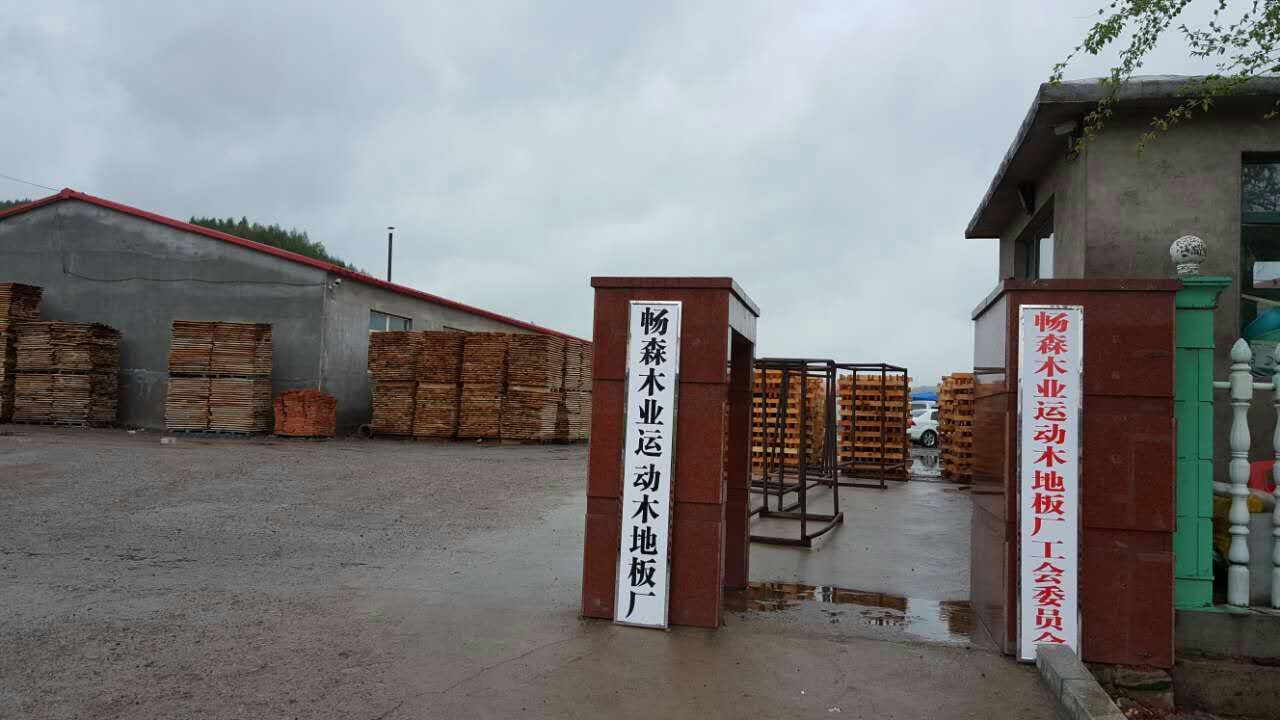 運(yùn)動(dòng)木地板圖片/運(yùn)動(dòng)木地板樣板圖 (2)