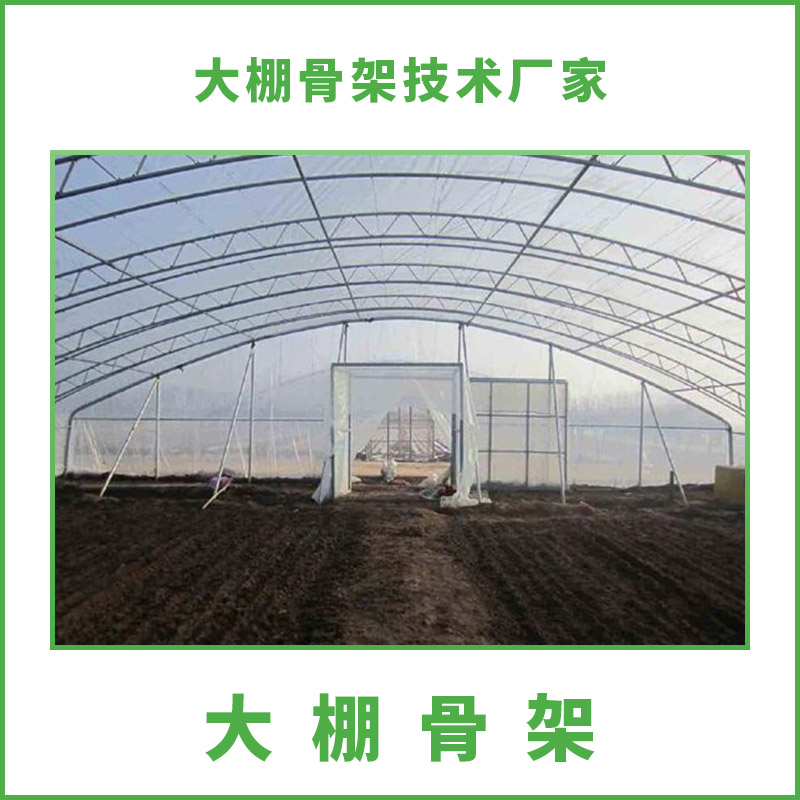 大棚骨架圖片/大棚骨架樣板圖 (2)