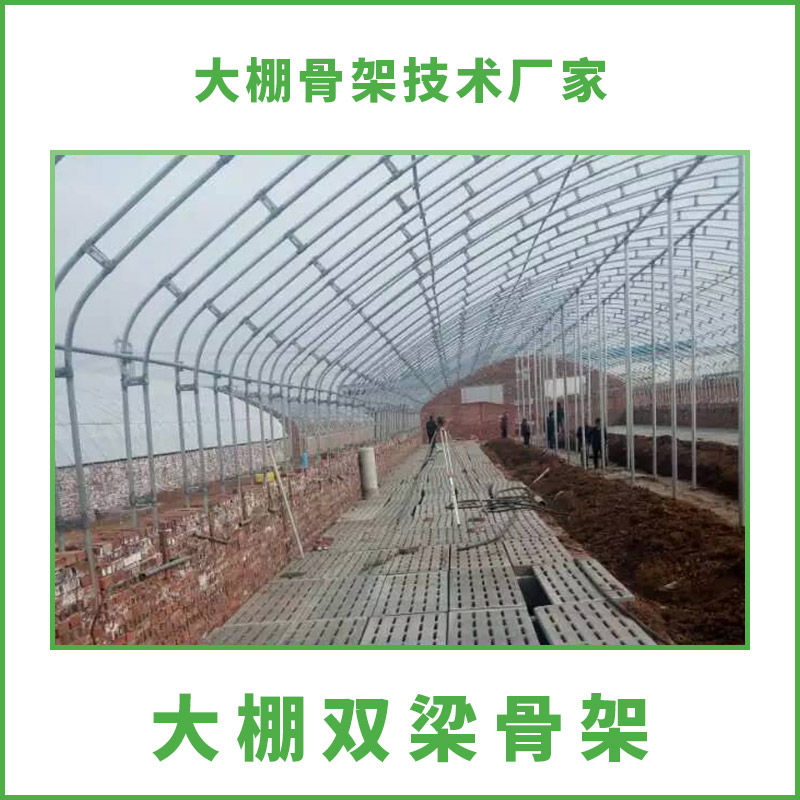 大棚雙梁骨架圖片/大棚雙梁骨架樣板圖 (4)