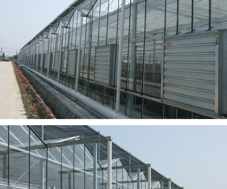 溫室大棚骨架建造圖片