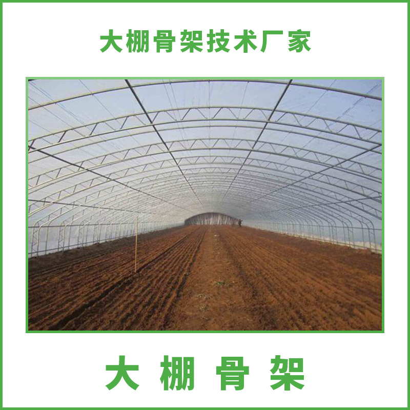 大棚骨架圖片/大棚骨架樣板圖 (3)