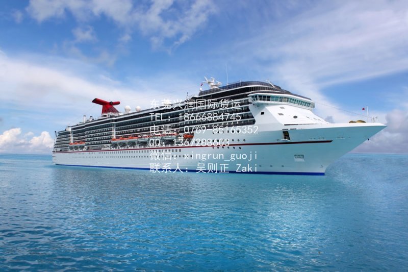 東莞虎門(mén)至新加坡海運(yùn)包稅雙清到門(mén)圖片/東莞虎門(mén)至新加坡海運(yùn)包稅雙清到門(mén)樣板圖 (4)