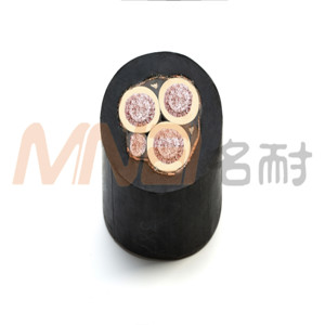 卷筒電纜圖片/卷筒電纜樣板圖 (2)