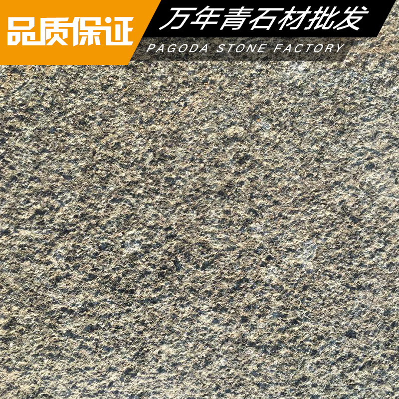 萬年青圖片/萬年青樣板圖 (3)