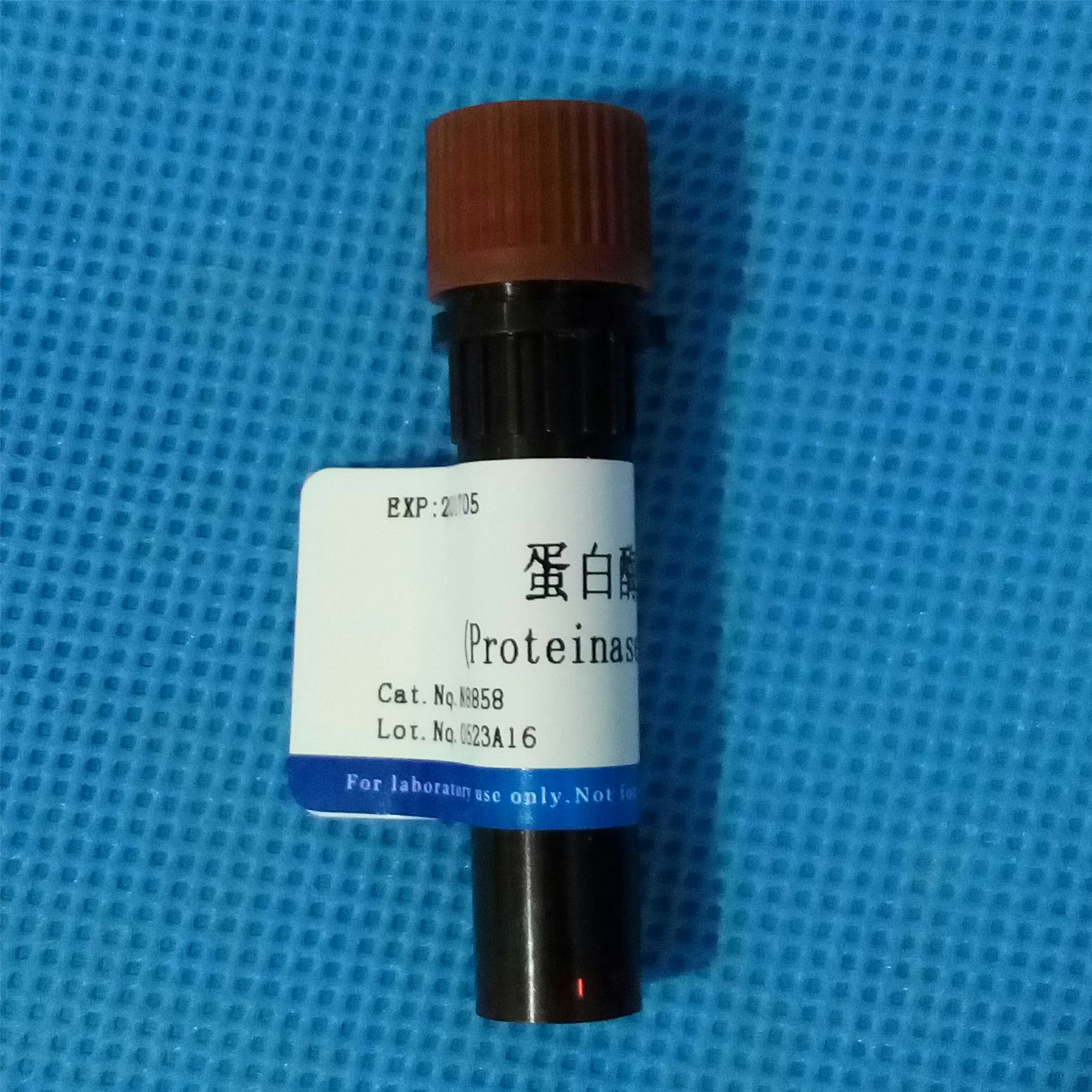 供應(yīng)蛋白酶K溶液(Proteinase K,20mg/ml) NobleRyder N8858 5ml量大優(yōu)惠 現(xiàn)貨