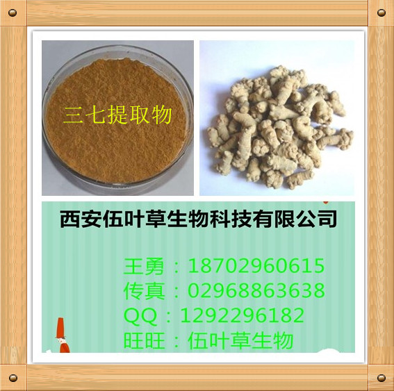 白樺茸提取物圖片/白樺茸提取物樣板圖 (4)