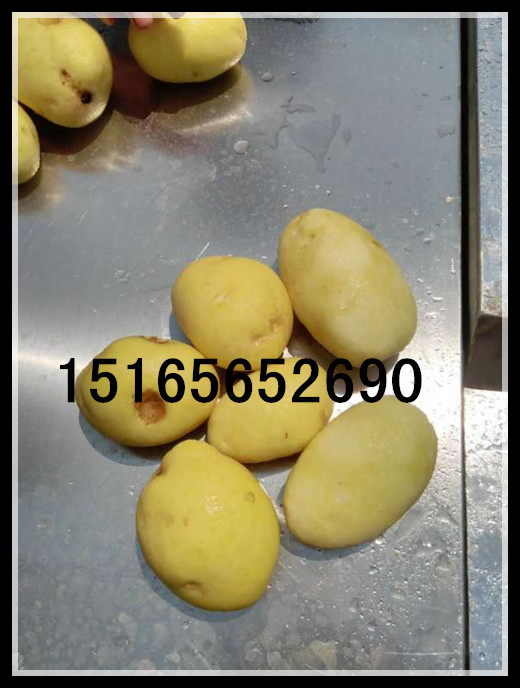 蓮藕加工圖片/蓮藕加工樣板圖 (2)