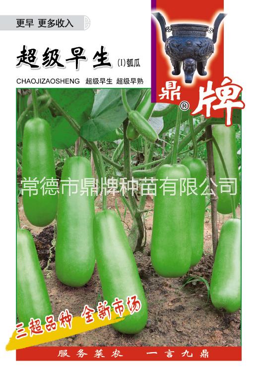 供應(yīng)瓠瓜種子