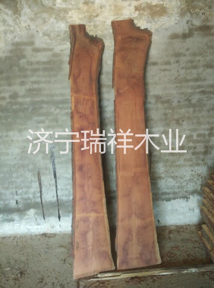 香椿木圖片/香椿木樣板圖 (2)