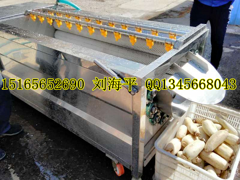 供應(yīng)蓮藕磨皮機(jī)，蓮藕加工設(shè)備，蓮藕去皮視頻，蓮藕去皮機(jī)圖片，蓮藕去皮機(jī)廠家，蓮藕加工設(shè)備，蓮藕設(shè)備價(jià)格，山東蓮藕去皮機(jī)