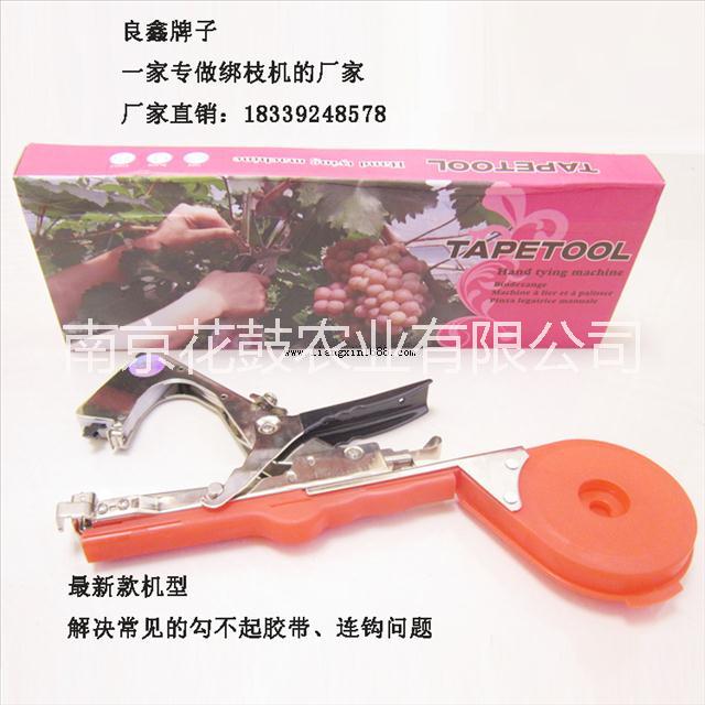 安徽葡萄圖片/安徽葡萄樣板圖 (4)