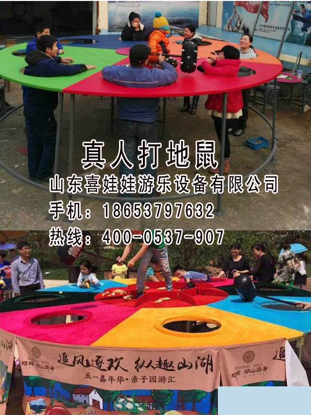 小型真人打地鼠批發(fā)圖片/小型真人打地鼠批發(fā)樣板圖 (4)