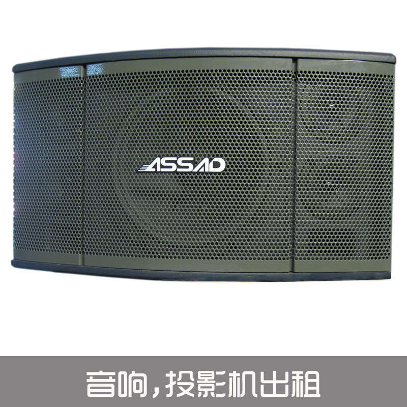 音響 投影機(jī)出租圖片/音響 投影機(jī)出租樣板圖 (4)