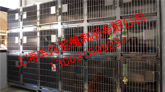 寵物寄養(yǎng)圖片/寵物寄養(yǎng)樣板圖 (2)