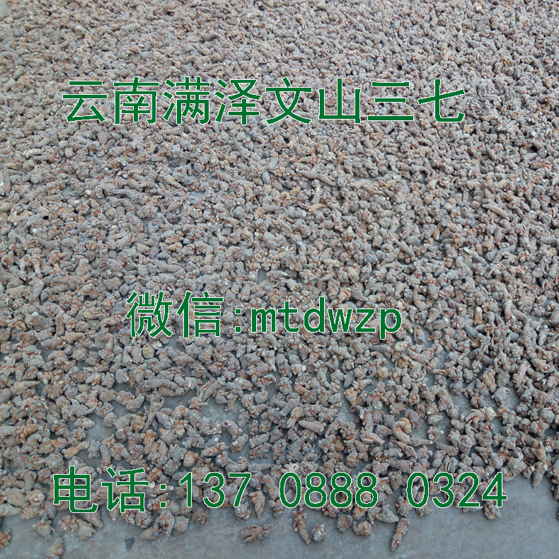 文山三七的作用圖片/文山三七的作用樣板圖 (3)