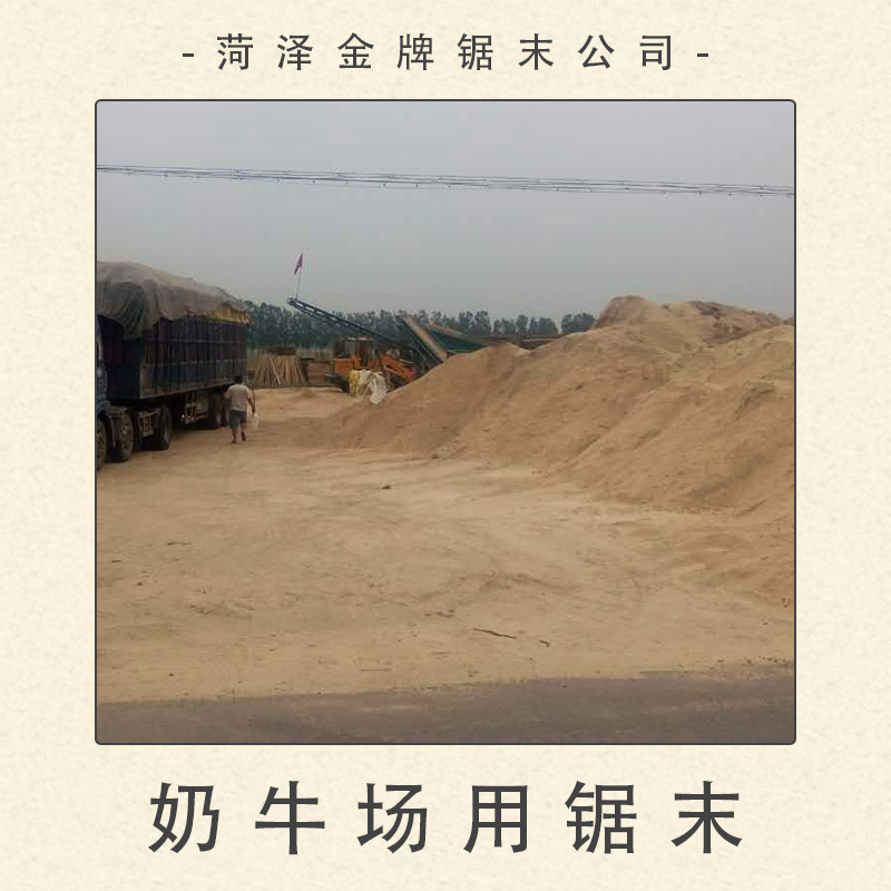 奶牛場用鋸末圖片/奶牛場用鋸末樣板圖 (1)