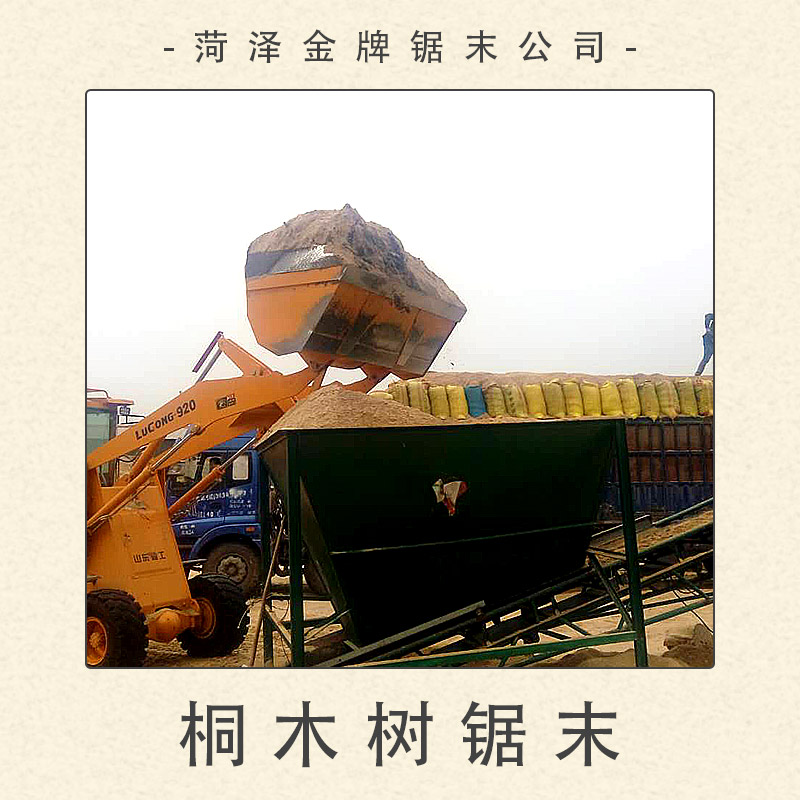 桐木樹(shù)鋸末圖片/桐木樹(shù)鋸末樣板圖 (1)