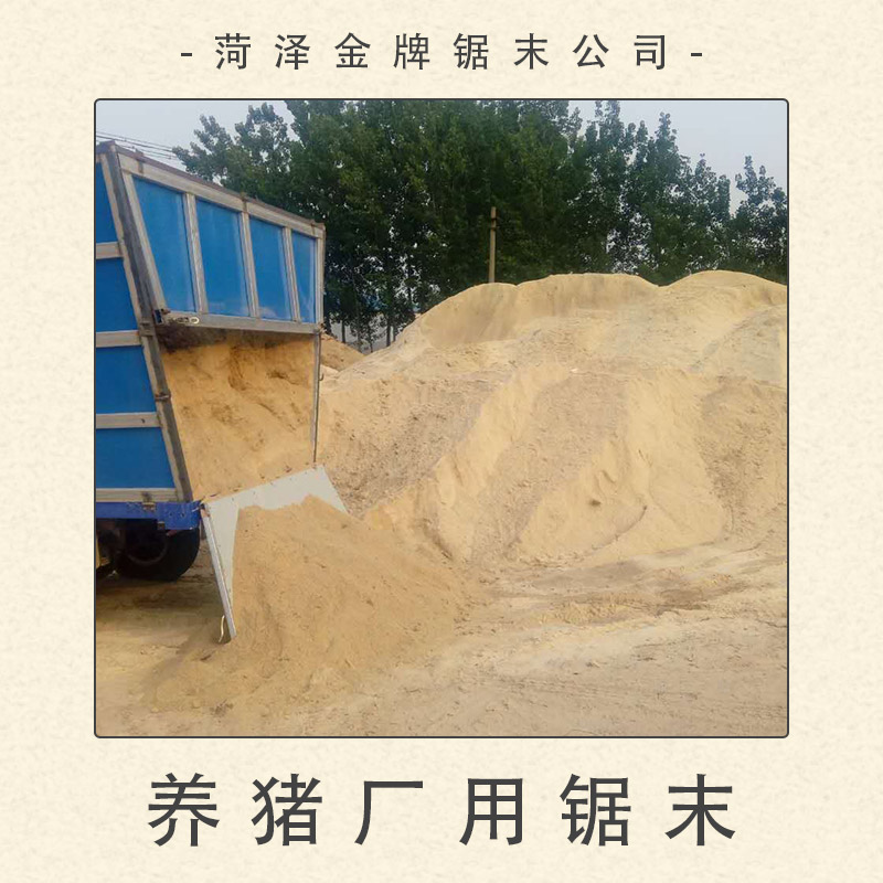 養(yǎng)豬廠用鋸末圖片