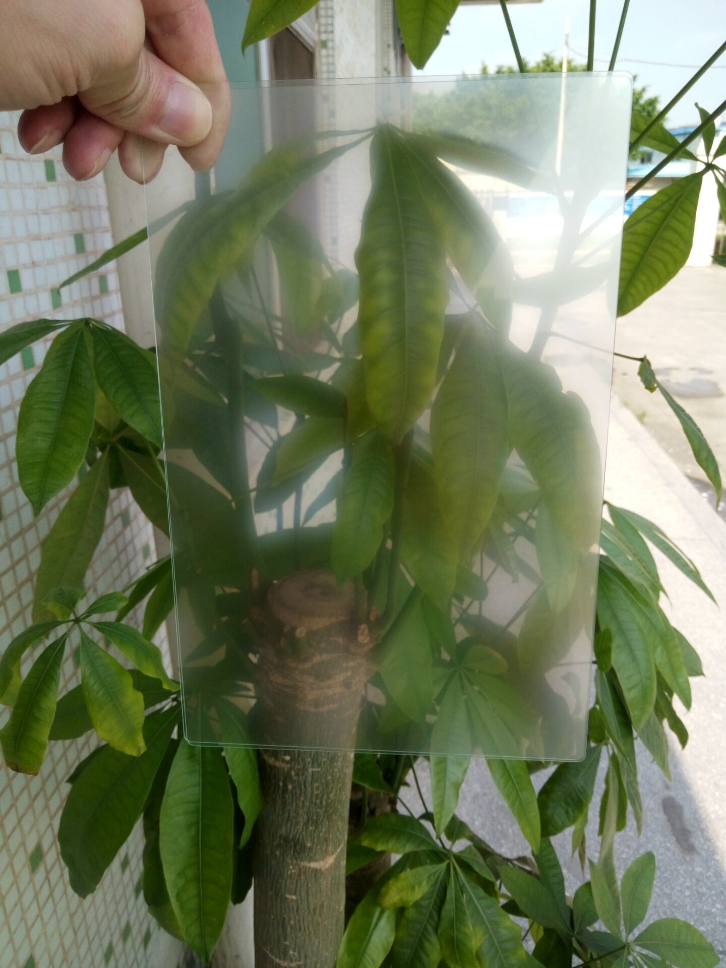 磨砂玻璃圖片/磨砂玻璃樣板圖 (2)