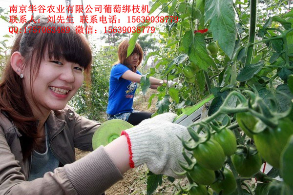 良鑫新款好用葡萄綁枝機(jī)圖片