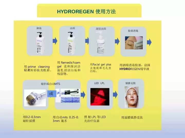 植物干細(xì)胞圖片/植物干細(xì)胞樣板圖 (4)