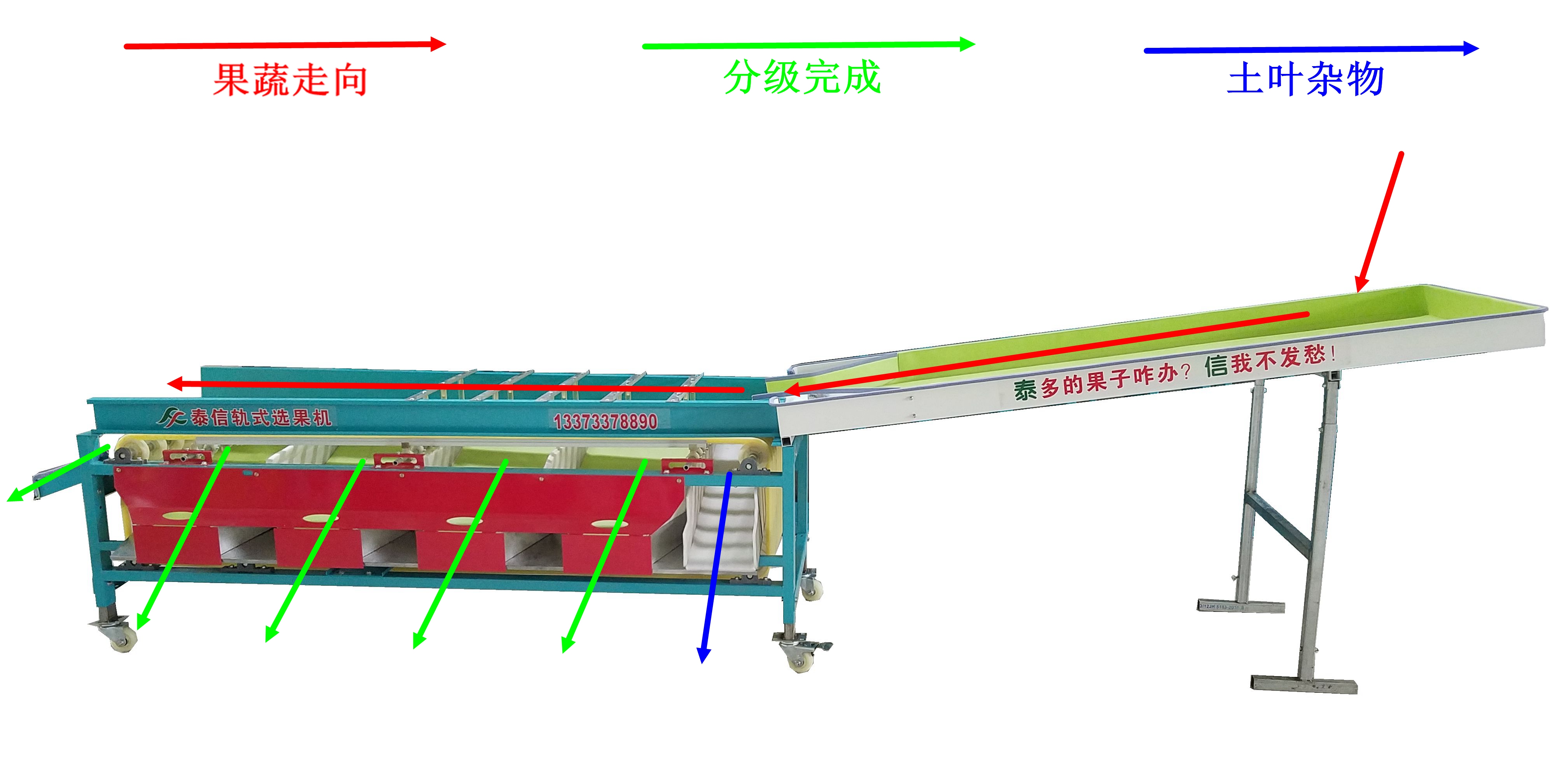 供应鸡蛋果分级机/筛选机/选果机