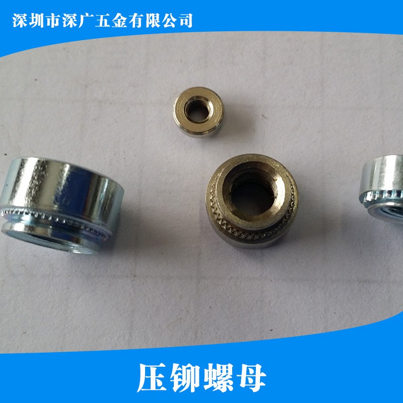 供應(yīng)壓鉚螺母 自扣緊螺母 扣緊螺母 六角壓鉚螺母 鉚螺母