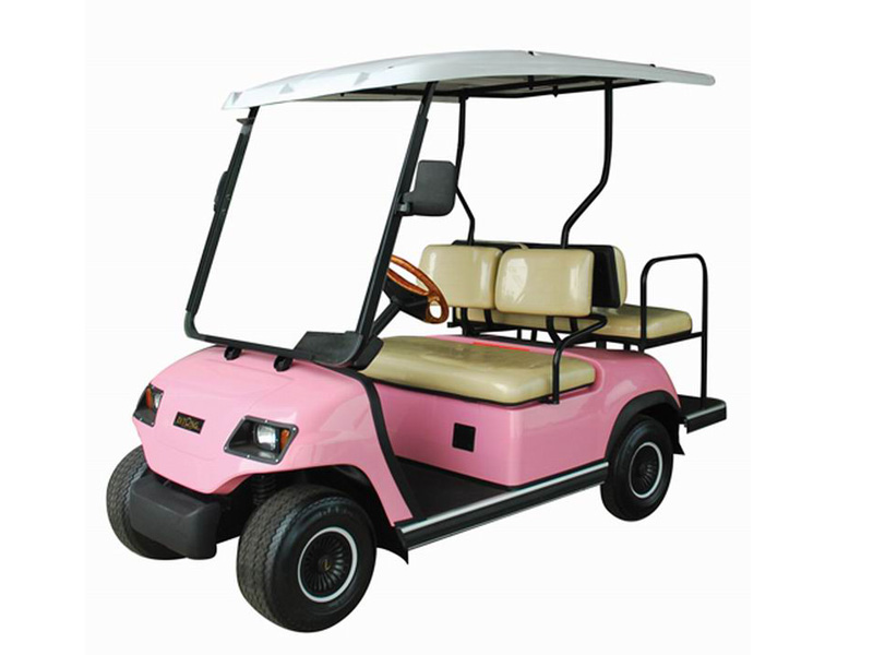 觀光電動(dòng)車(chē)圖片/觀光電動(dòng)車(chē)樣板圖 (3)