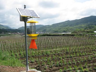 供應(yīng)太陽(yáng)能殺蟲燈