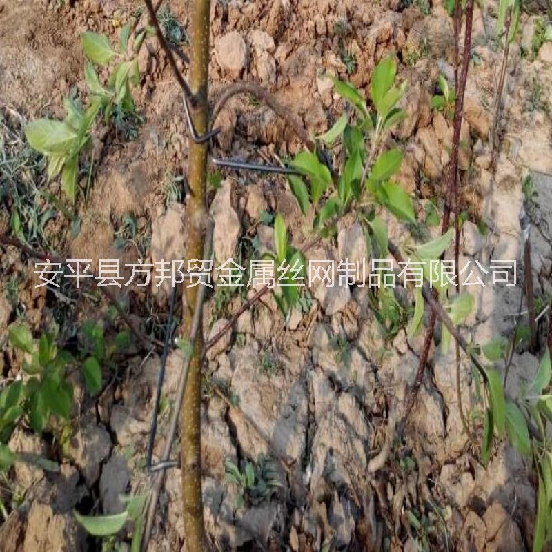 供應大棚玻璃溫室 掛鉤