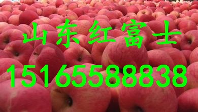 紅富士蘋果圖片/紅富士蘋果樣板圖 (2)