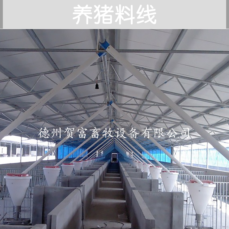 供應(yīng)養(yǎng)豬料線廠家直銷 山東養(yǎng)豬料線供應(yīng)商 豬場自動喂料系統(tǒng) 豬自動喂料系統(tǒng)
