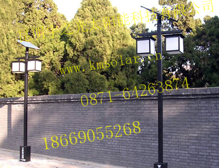 太陽(yáng)能LED庭院路燈花園景觀燈圖片/太陽(yáng)能LED庭院路燈花園景觀燈樣板圖 (2)