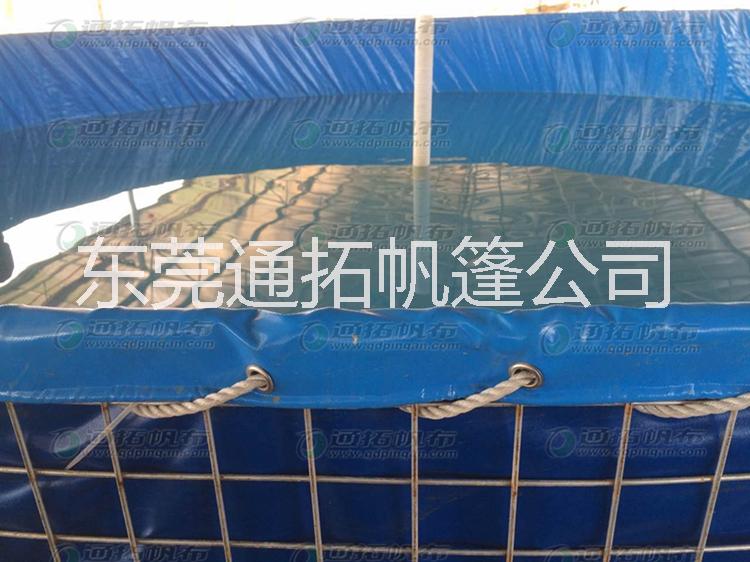 帆布魚池圖片/帆布魚池樣板圖 (3)