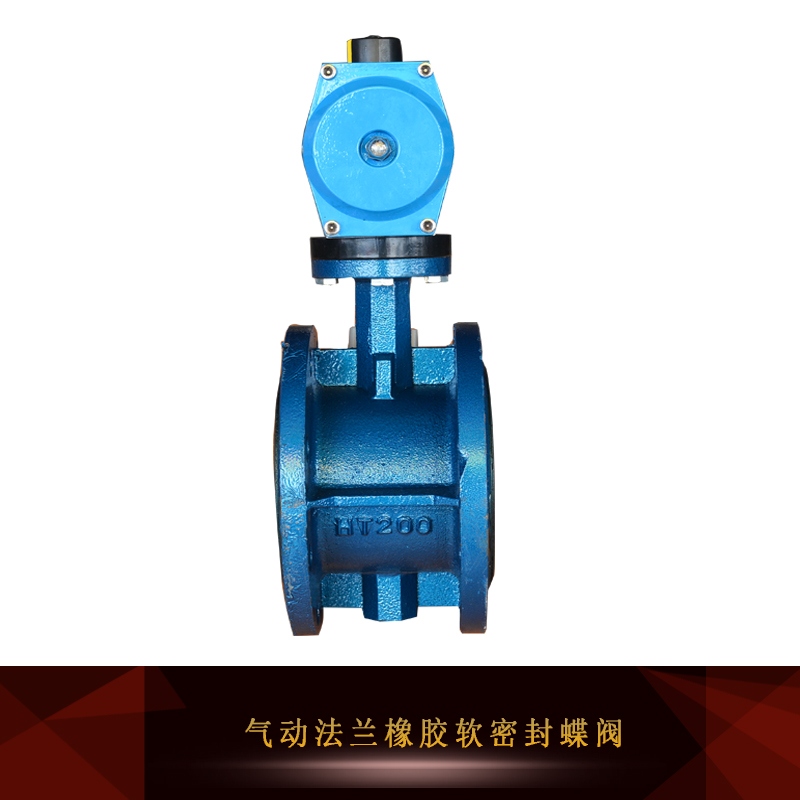 軟密封蝶閥圖片/軟密封蝶閥樣板圖 (4)