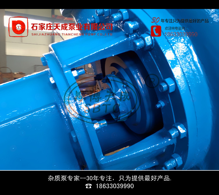 脫硫泵圖片/脫硫泵樣板圖 (4)