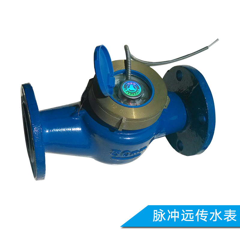 遠(yuǎn)傳水表圖片/遠(yuǎn)傳水表樣板圖 (2)