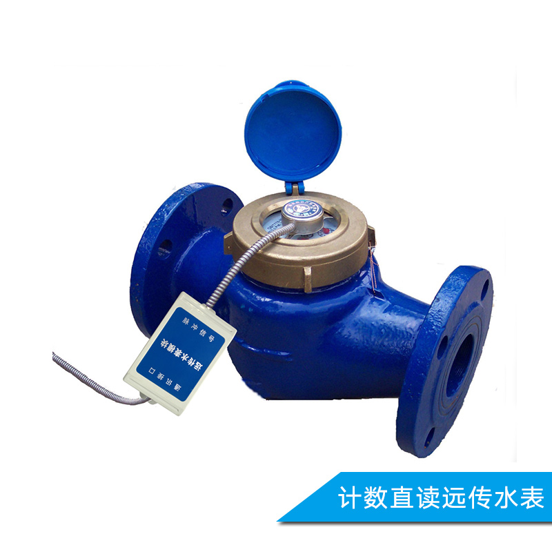 直讀遠(yuǎn)傳水表圖片/直讀遠(yuǎn)傳水表樣板圖 (1)