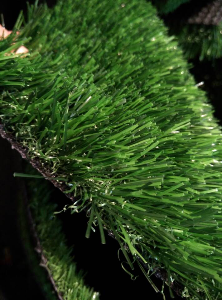 足球場人造草坪圖片/足球場人造草坪樣板圖 (2)