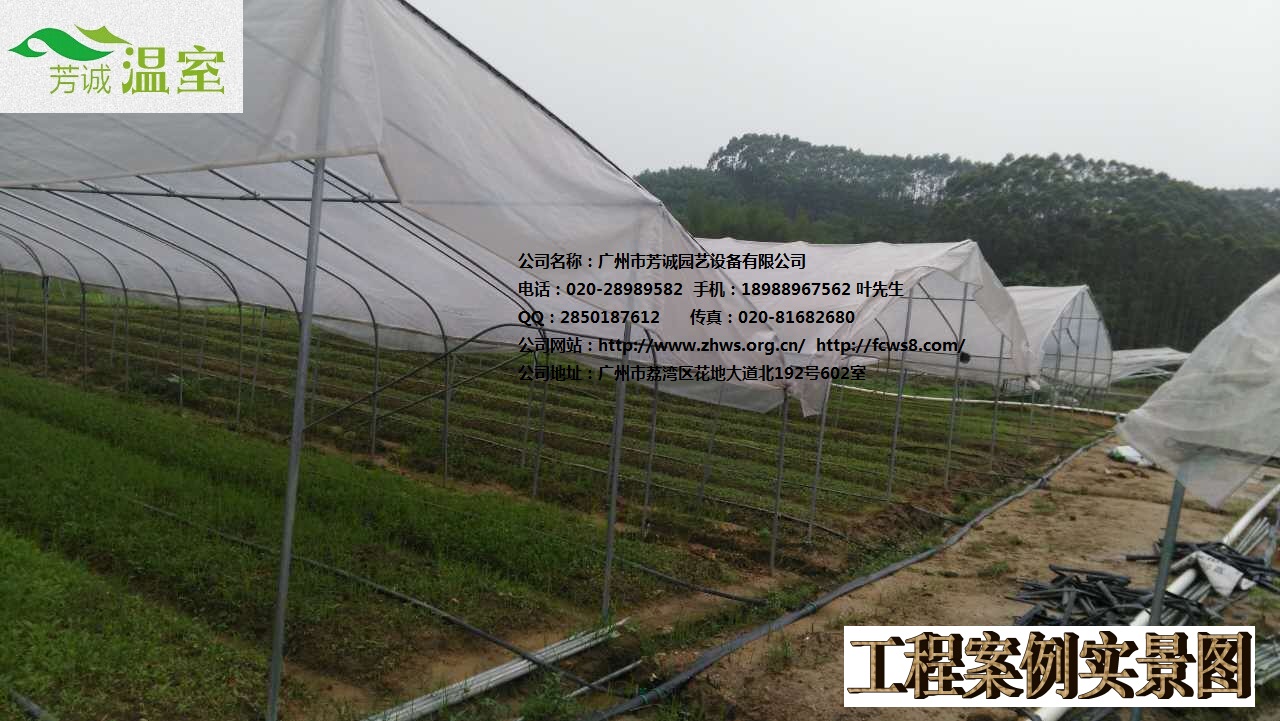 蔬菜大棚圖片/蔬菜大棚樣板圖 (2)