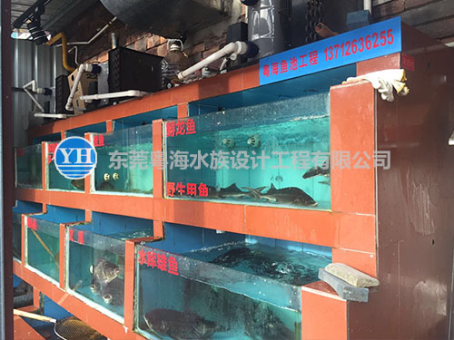 專業(yè)快速定做 海鮮池 室內(nèi)外魚池圖片