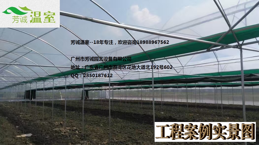 供應(yīng)廣東新型開天窗聯(lián)棟蔬菜大棚 簡(jiǎn)易大棚/溫室大棚/蔬菜大棚/育苗棚