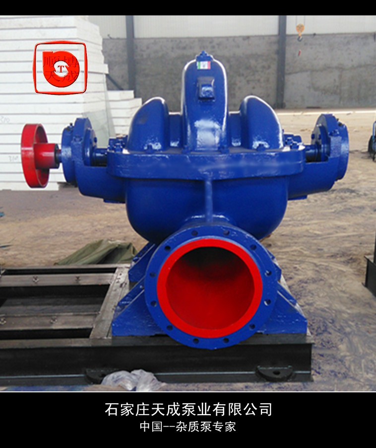 中開雙吸泵圖片/中開雙吸泵樣板圖 (2)