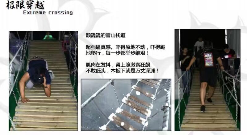 VR 雪山吊橋展覽出售廠家直銷圖片