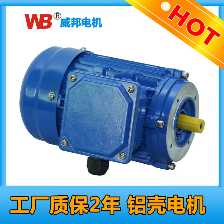 YS6314-0.12KW-4P图片