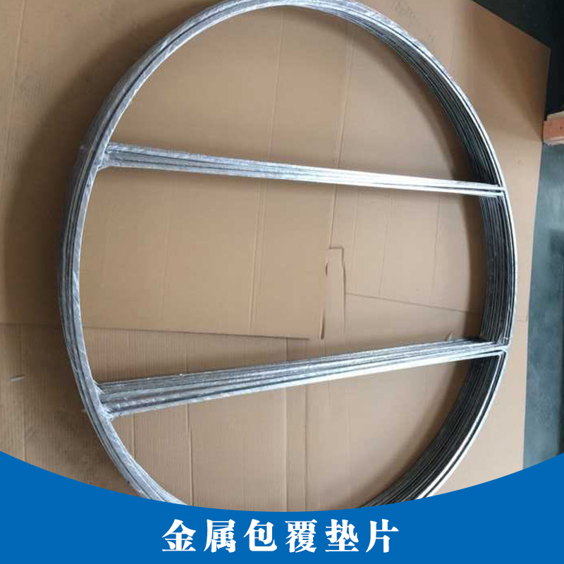 金屬包覆墊片圖片/金屬包覆墊片樣板圖 (4)