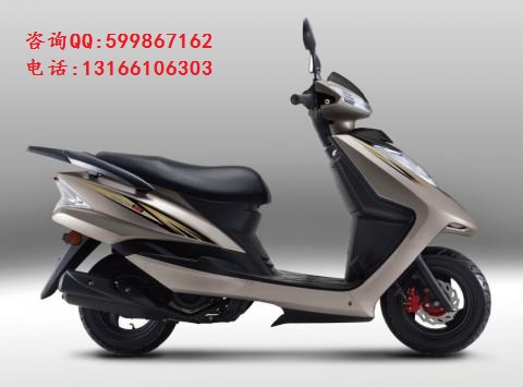 宗申ZS150-30P摩托車圖片/宗申ZS150-30P摩托車樣板圖 (2)